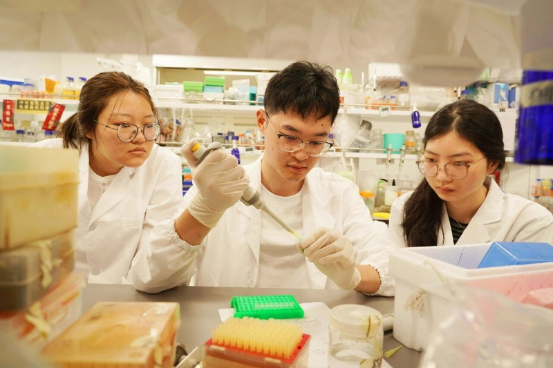 暑假科研实验正当时