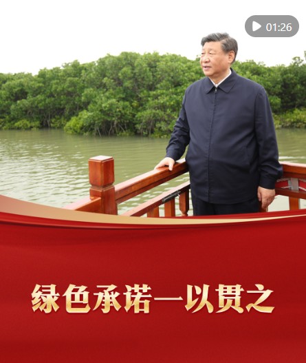 VgVbZLNIfOFQ5fmI.jpg 360截图20260815210959985.jpg