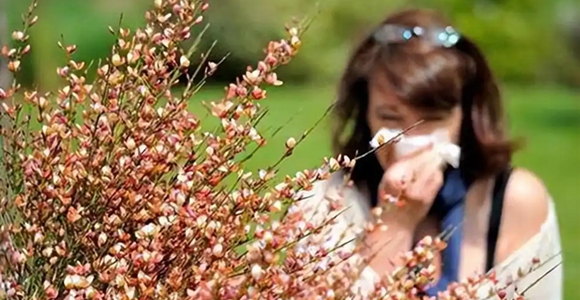 秋季花粉季 别把严重过敏当“难受”