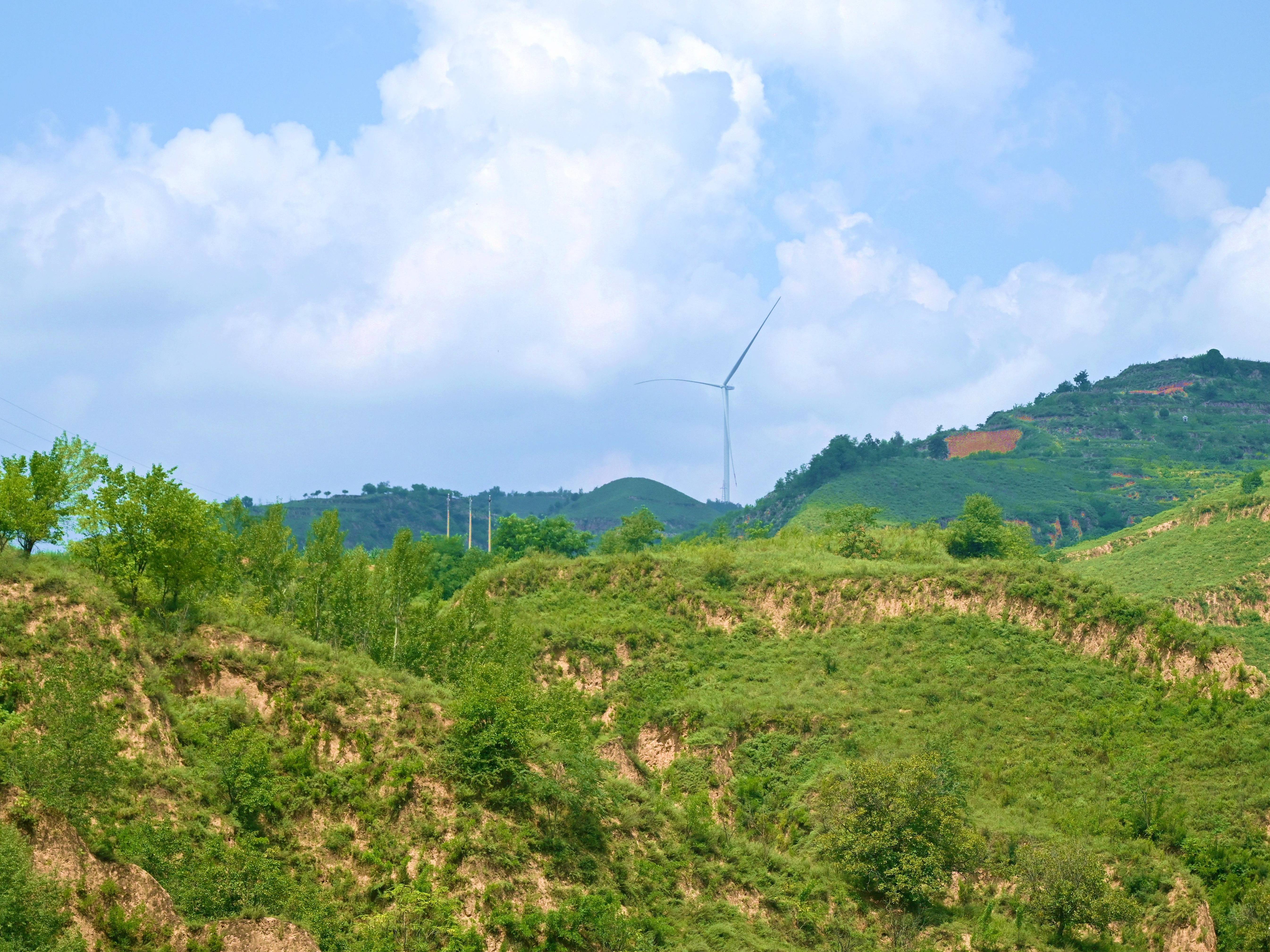 延安：昔日黄土峁 今朝绿满山
