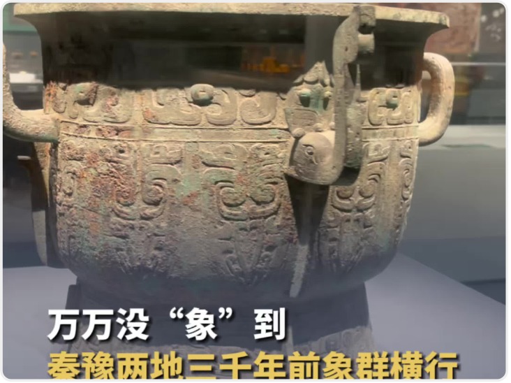 文脉同源 豫见长安|秦豫两地三千年前象群横行 西周文物永盂留下青铜实锤