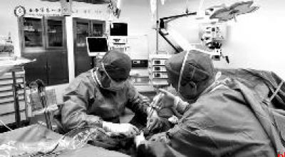 聚力学科建设 护航全龄健康