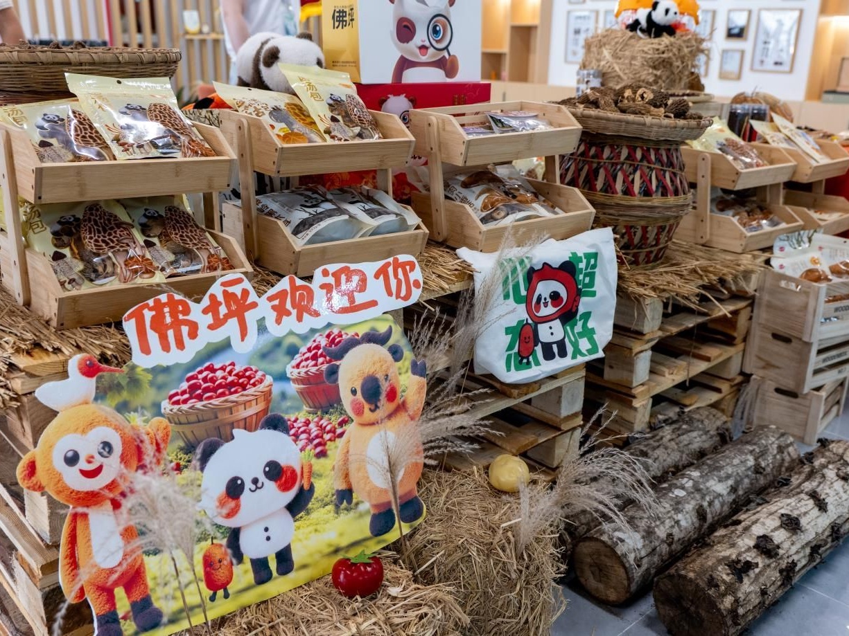 这座秦岭小城在绿水青山间蹚出“共富路”