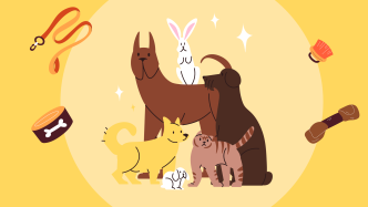 从一袋猫粮到百亿产业 宠物经济正在改变哪些县城