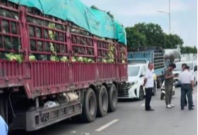 北京新发地市场启动紧急排查：涉事“甲醛白菜”未流入