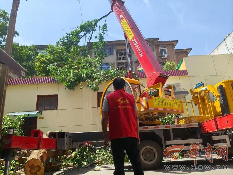 8 8