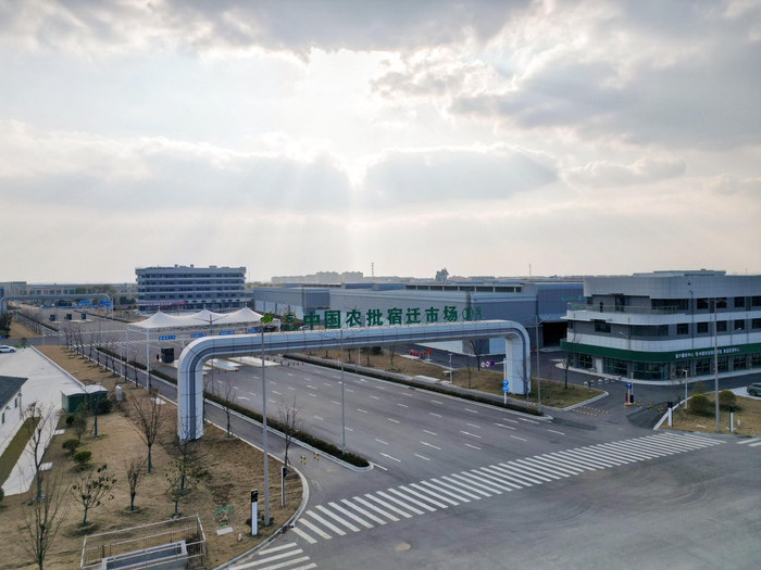 中农批宿迁市场：自河北康保运来大白菜检测结果合格 举报人未提出异议