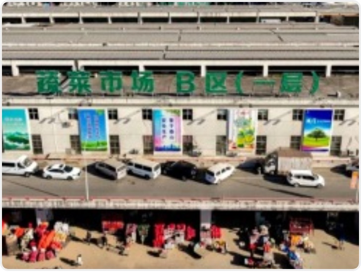 南京众彩市场：对场内大白菜开展地毯式抽检 未检出甲醛等有害物质