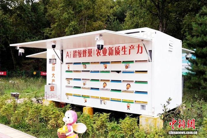 科技赋能中蜂产业 做大乡村“甜蜜经济”