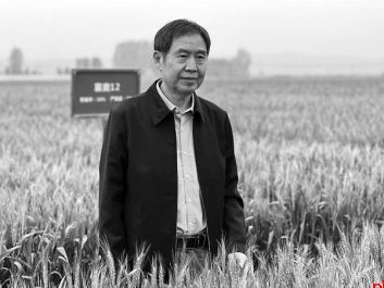 一生守麦田 一心护粮安