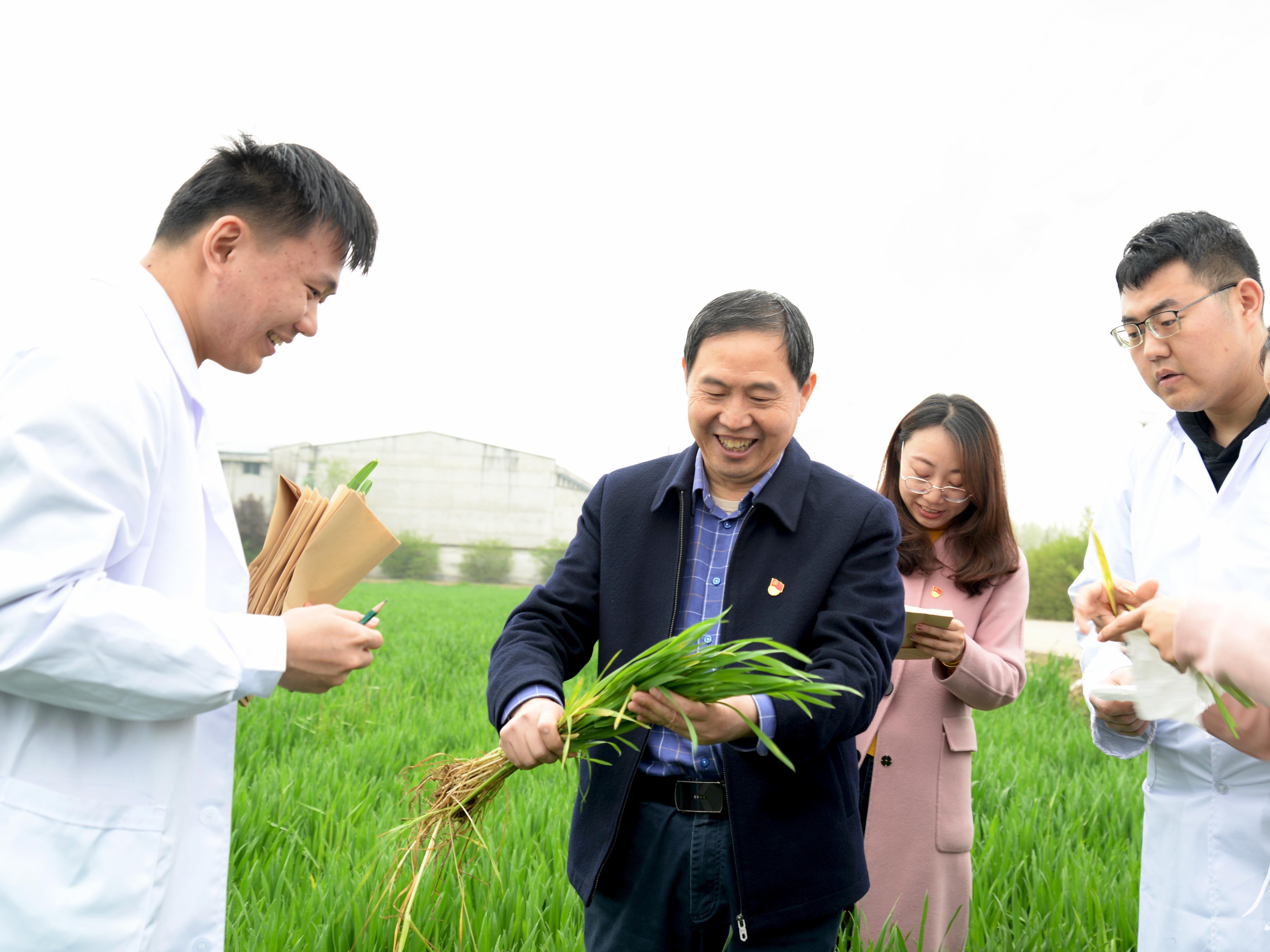 麦田里的守望者——记陕西省第十批“三秦楷模”康振生