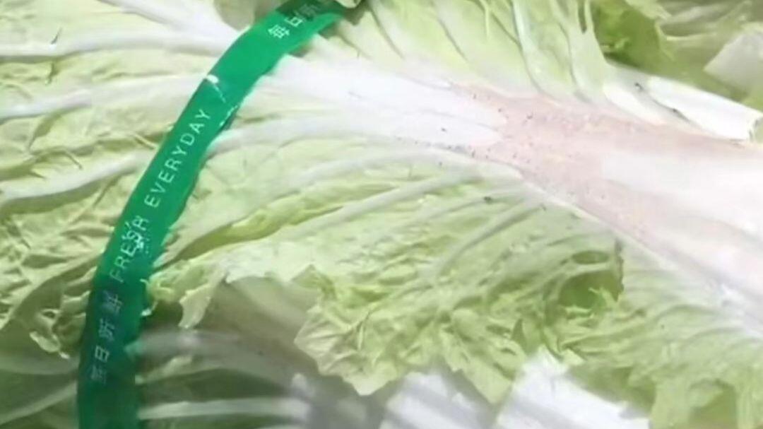 曝光“甲醛白菜”的博主讲述细节： 白菜蘸甲醛现场根本不避人 是公开常态化作业