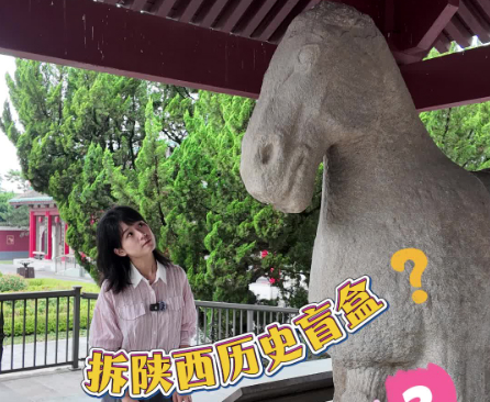 拆陕西历史盲盒——第三个：揭开一个时代的野心