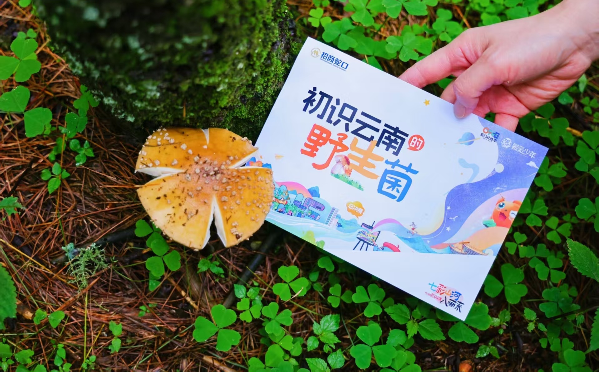 19_看图王.jpg