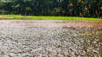 云南磨憨镇遭遇强降雨引发洪涝灾害 已组织1500余人救灾