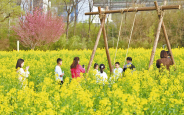 天留村山水“变现”记