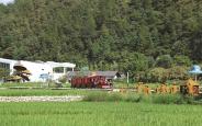 借青山绿水 绘田园盛景