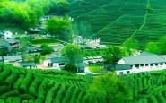 借青山绿水 绘田园盛景