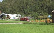 将秦岭“凉资源”转化为富民兴村的“热产业”