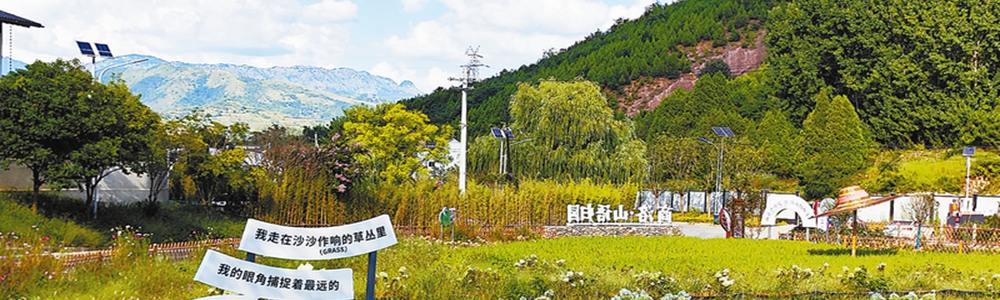 商洛山沟沟如何变身“金银谷”?