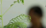一次“时髦”尝试，换来生活不能自理