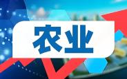 农业板块异军突起 公募逆周期布局效果显现