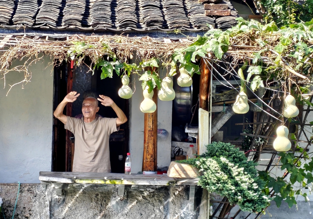 剪下网红葫芦之后：被当作“风景”的生活首先是生活