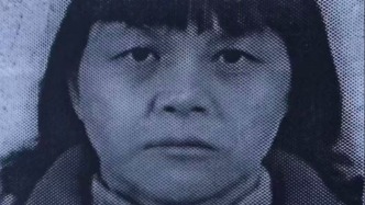 探访“梅姨”老家：育有两子 亲属斥其不尽母责又败坏声誉