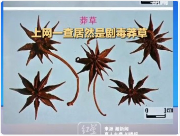 女子称超市买的八角数出13个角 一查竟是剧毒莽草