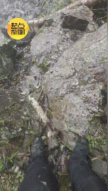 DcGeWOpnBEofiM7E.gif