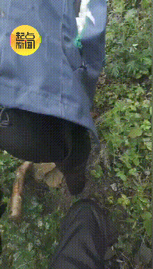 K1AfzJXw8JUOuTUo.gif