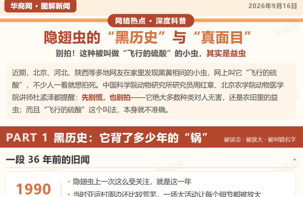 图解|“背锅”几十年的它们大多是益虫 隐翅虫的