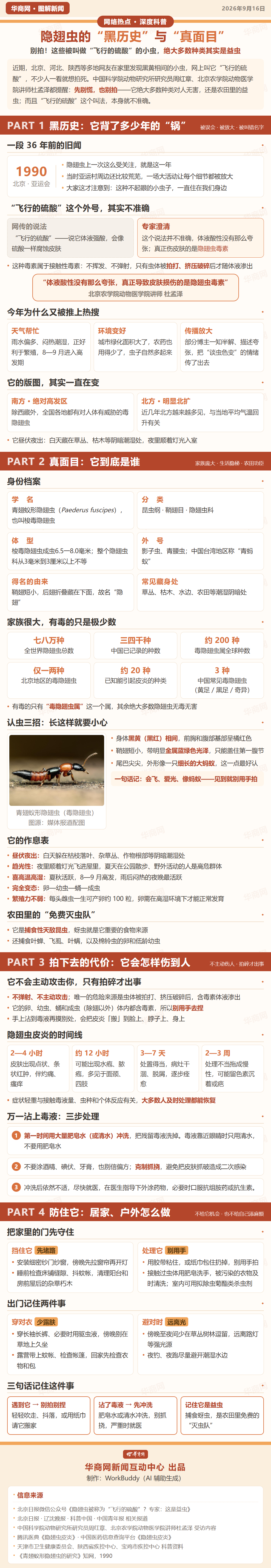 定稿隐翅虫.png