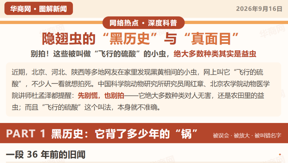 图解|“背锅”几十年的它们大多是益虫 隐翅虫的