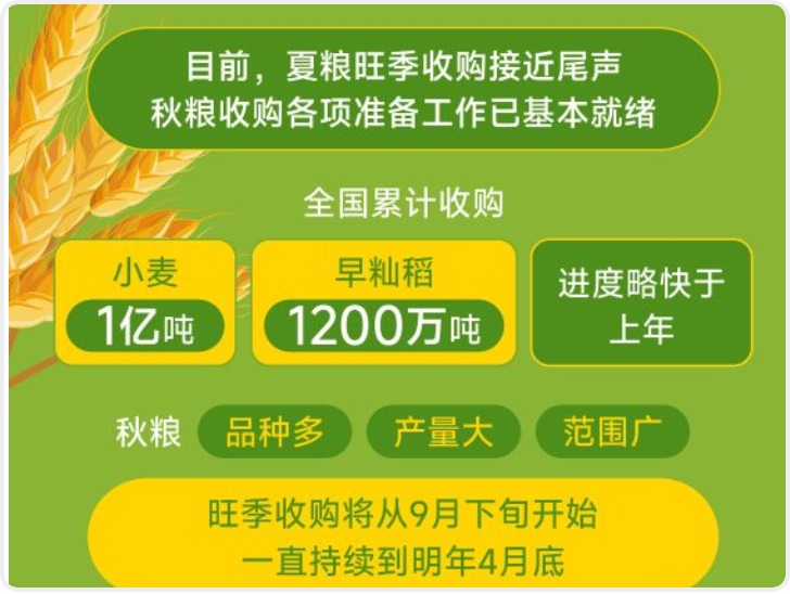 夏粮旺季收购基本结束 全国累计收购小麦1亿吨