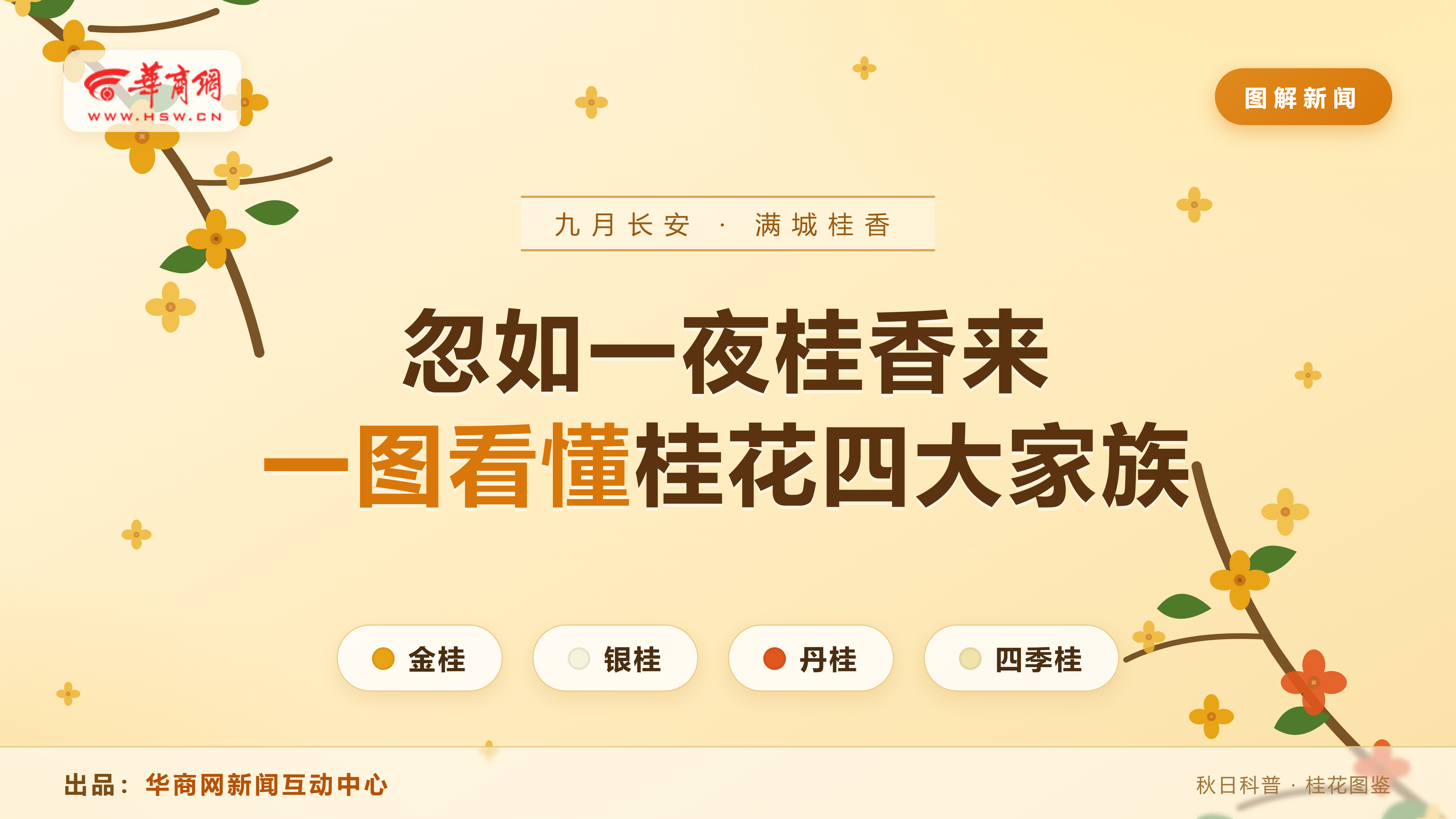 图解|忽如一夜桂香来 一图看懂桂花四大家族