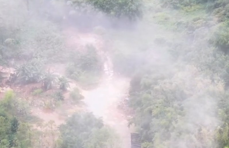广东两地被曝 “硫磺熏笋” 博主称：气味异常刺鼻 当地已介入调查
