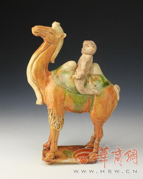 照11.M51:5三彩骆驼.jpg