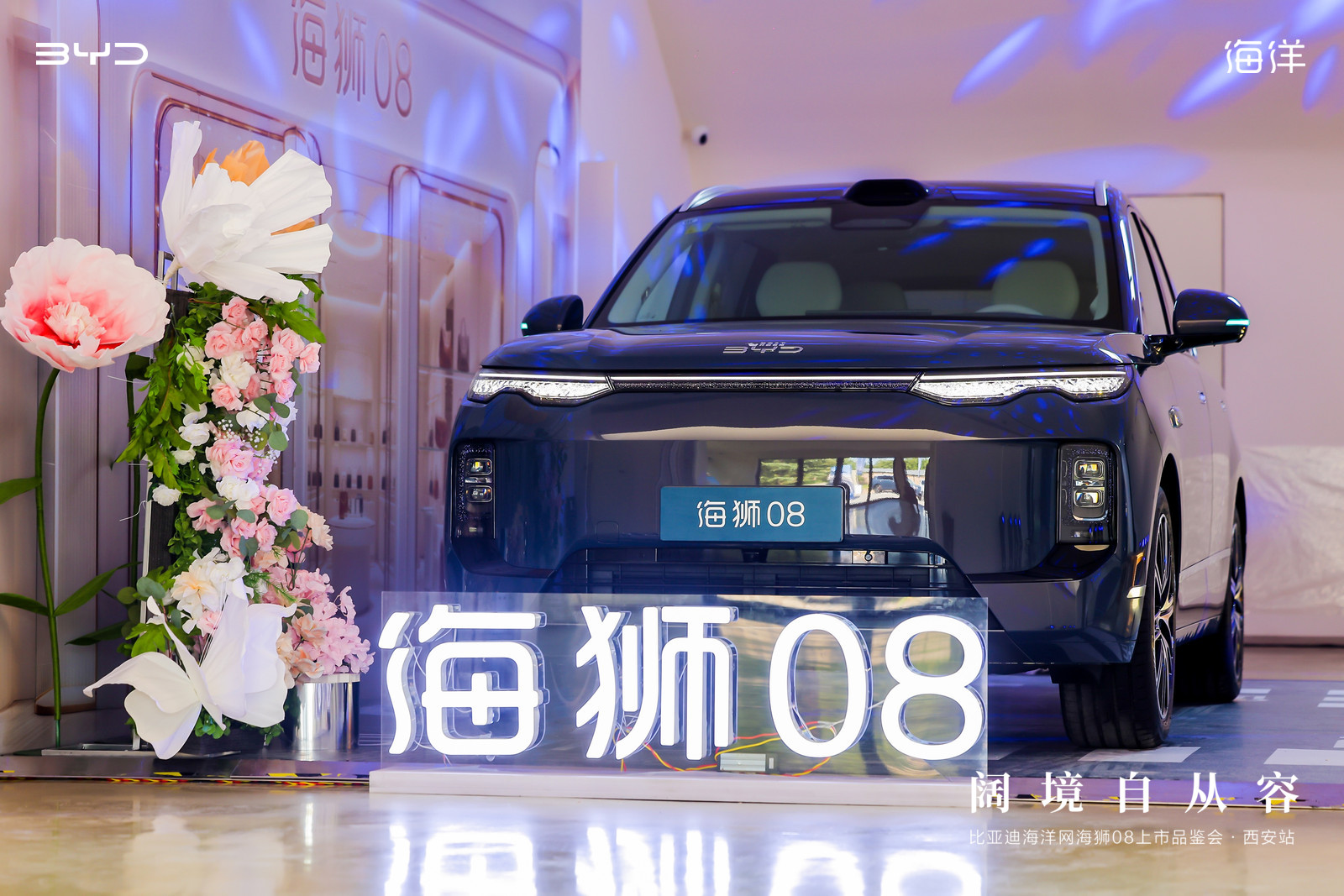 b4a404c856c617e5a4bb73cc9eea3fd4.jpg