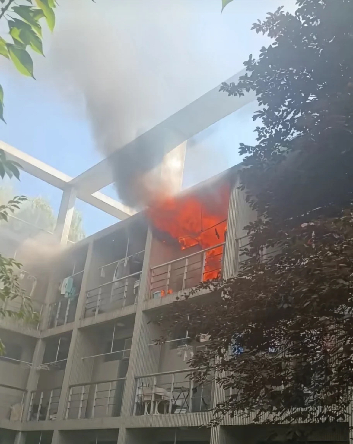 大连一高校宿舍起火无人员伤亡 消防：报警和救援都很及时