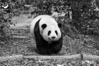 解锁“双节”多元出行新体验