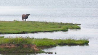 近期鄱阳湖水位跌幅之快、纪录刷新之密集 实属罕见