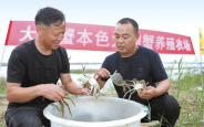 水美蟹肥迎丰收