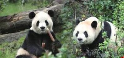 开启为期十年的旅居生活