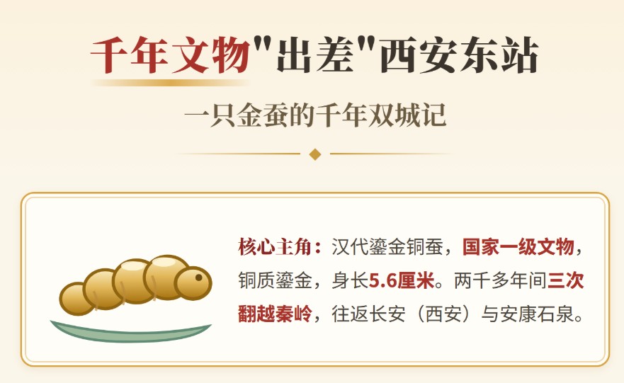 千年文物“出差”西安东站 一只金蚕的千年双城记