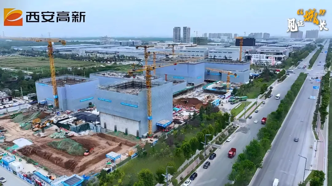 Knonkbi7GqD2058j.png 图片 1.png