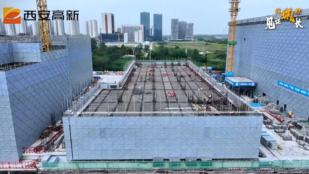 YtU0QKTV5gbWeHgb.png 图片 2.png