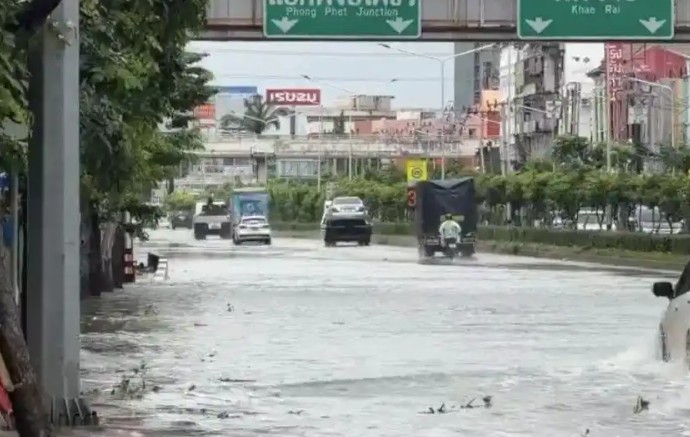 泰国多地洪水淹城 大量蛇和鳄鱼出现在街道甚至居民家中