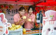 大学生直播带货助农增收