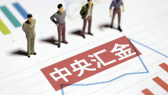 中央汇金公司“打假”！21家企业被点名